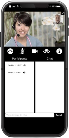 VA Video Connect Phone Screenshot