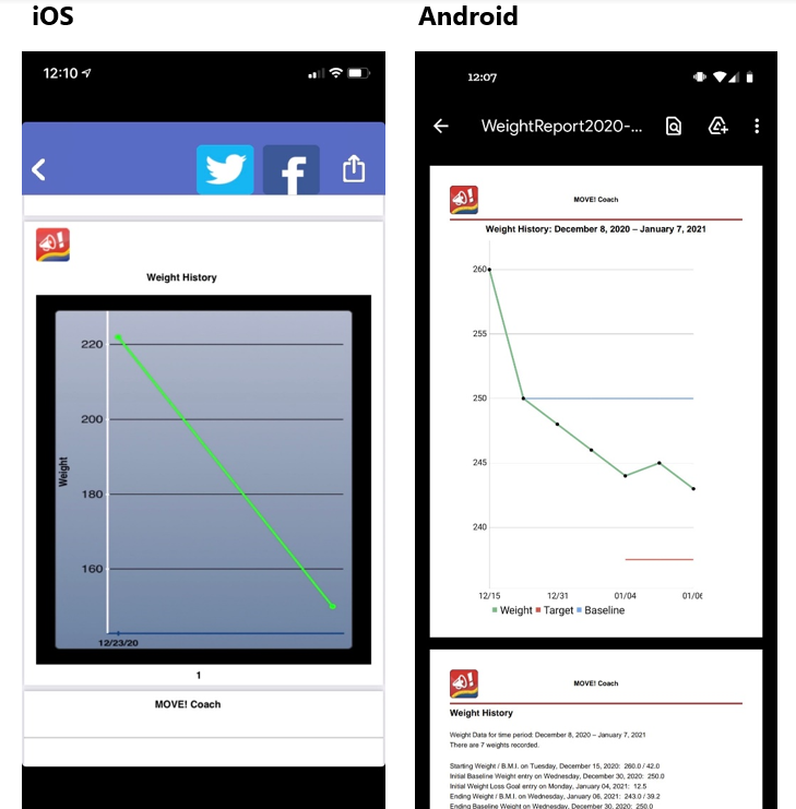 iOS and Android screenshots of Summaries & Reports view